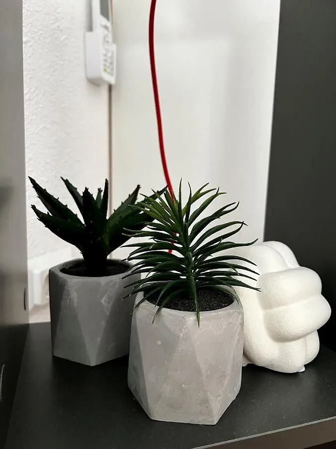 Tarino Apartment Split